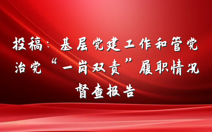 投稿：基层党建工作和管党治党“一岗双责”履职情况督查报告
