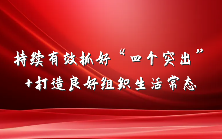 持续有效抓好“四个突出” 打造良好组织生活常态