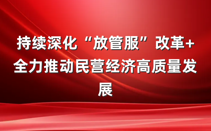 持续深化“放管服”改革 全力推动民营经济高质量发展