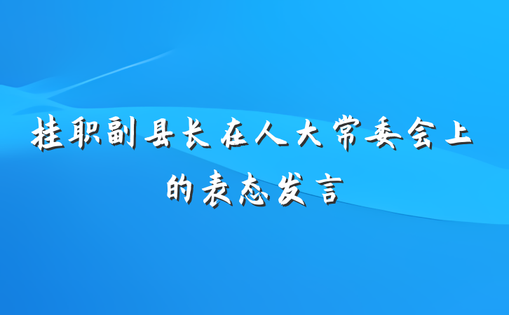 挂职副县长在人大常委会上的表态发言