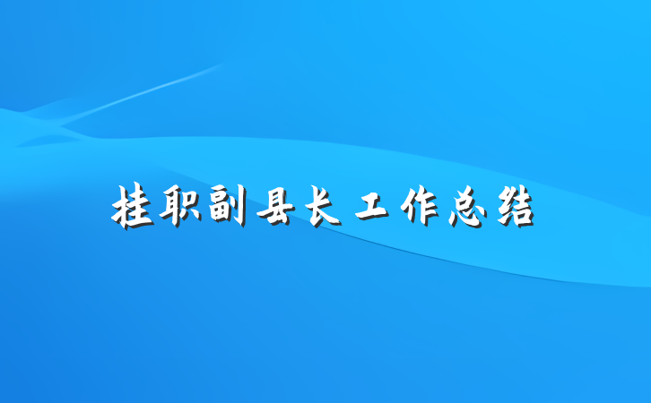 挂职副县长工作总结