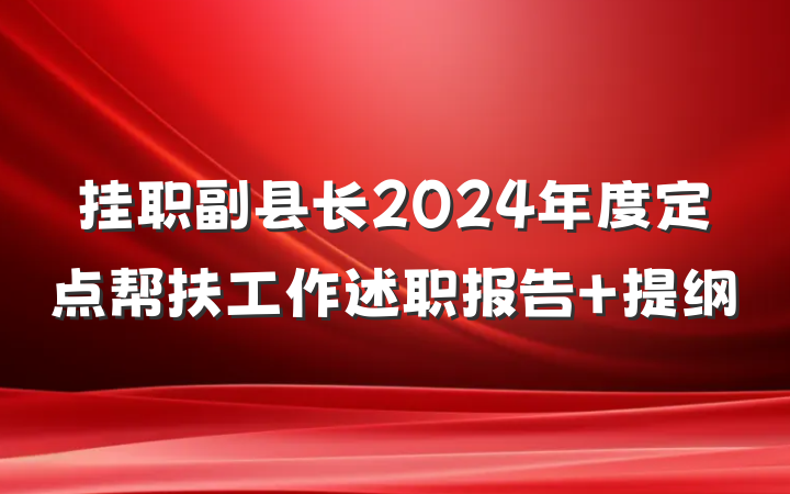 挂职副县长2024年度定点帮扶工作述职报告 提纲