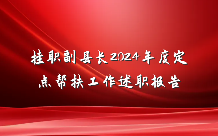挂职副县长2024年度定点帮扶工作述职报告