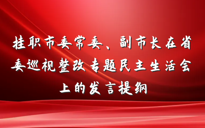 挂职市委常委、副市长在省委巡视整改专题民主生活会上的发言提纲