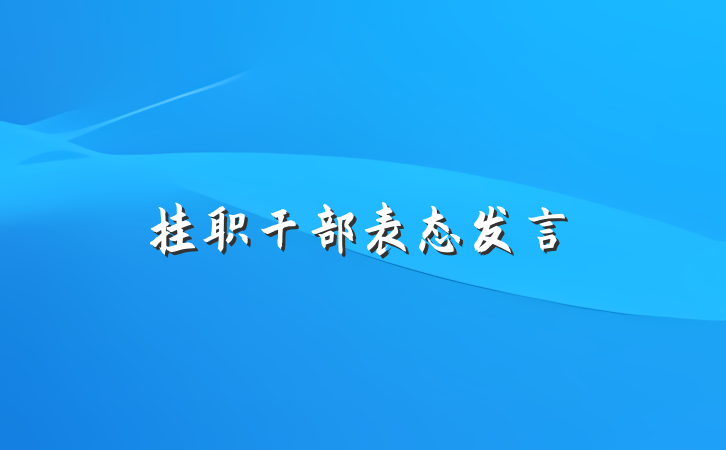 挂职干部表态发言