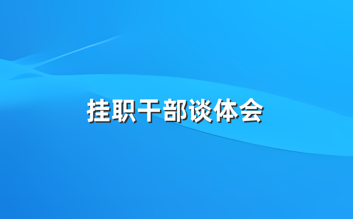 挂职干部谈体会