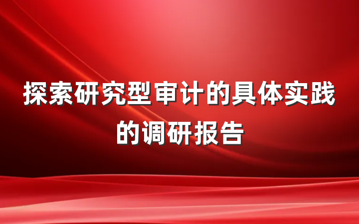 探索研究型审计的具体实践的调研报告