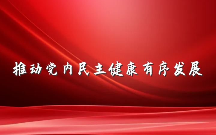 推动党内民主健康有序发展