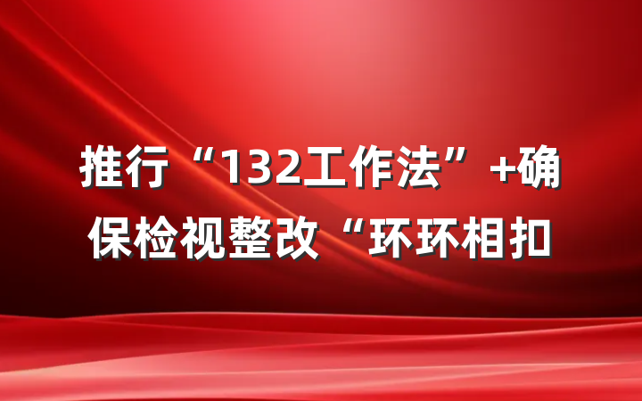 推行“132工作法” 确保检视整改“环环相扣