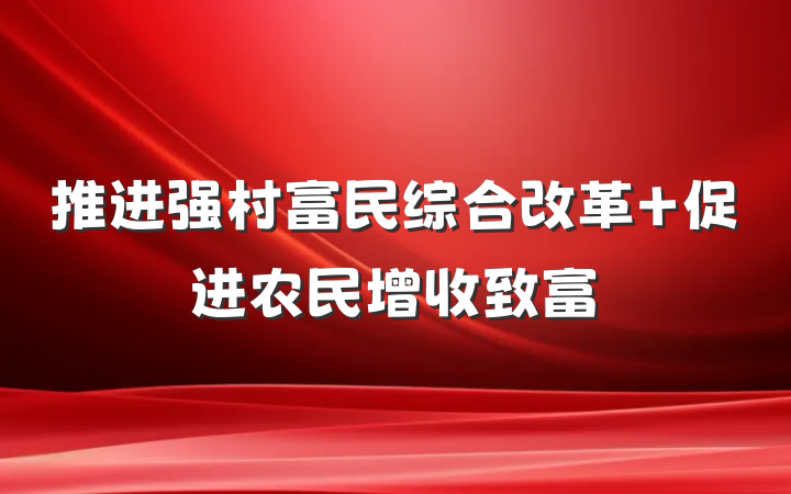 推进强村富民综合改革 促进农民增收致富