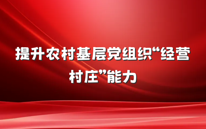 提升农村基层党组织“经营村庄”能力