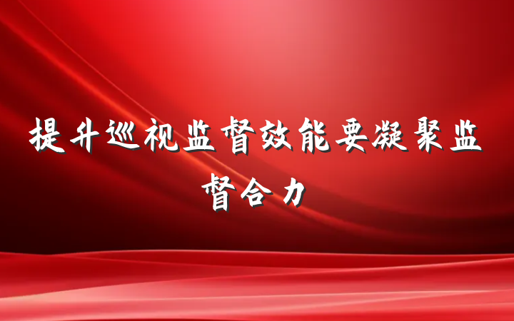 提升巡视监督效能要凝聚监督合力