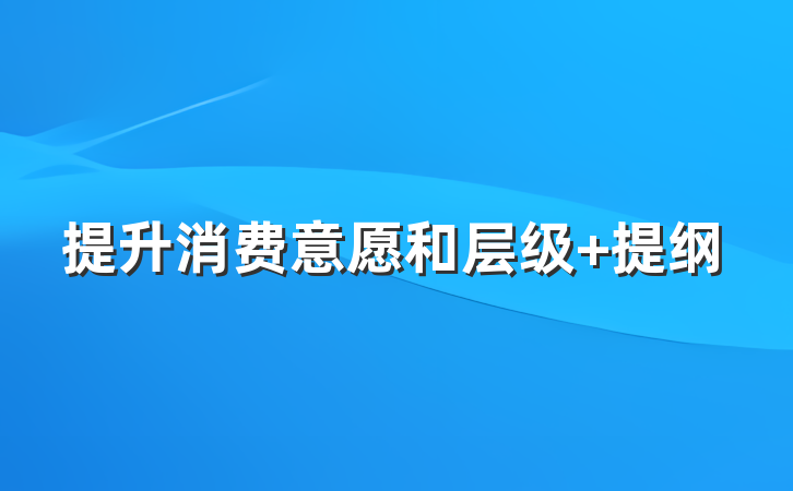 提升消费意愿和层级 提纲