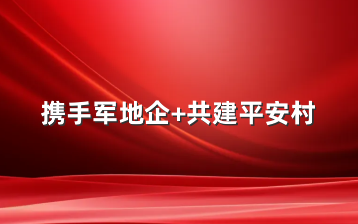 携手军地企 共建平安村