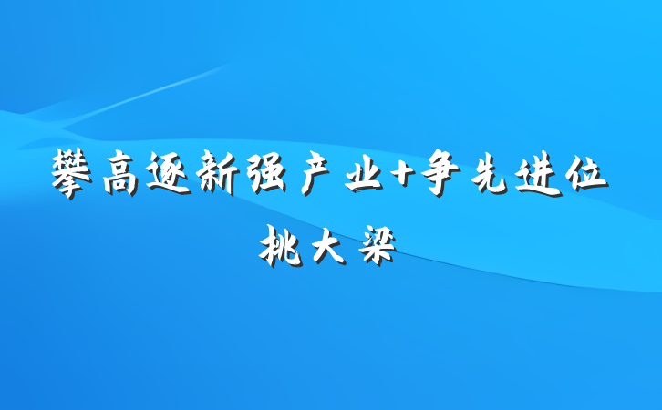 攀高逐新强产业 争先进位挑大梁