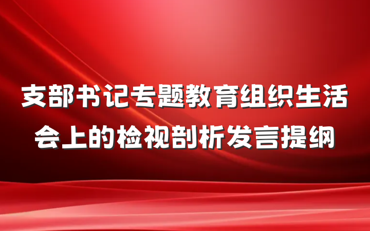 支部书记专题教育组织生活会上的检视剖析发言提纲