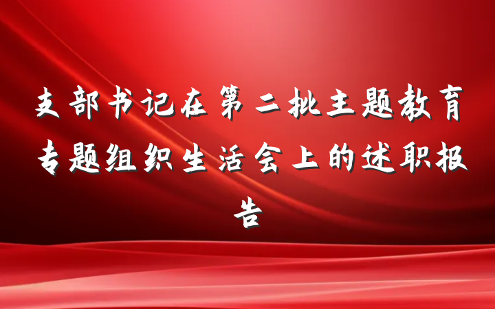 支部书记在第二批主题教育专题组织生活会上的述职报告