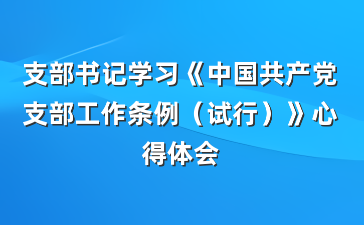 支部书记学习《中国共产党支部工作条例（试行）》心得体会