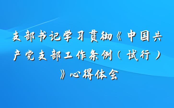 支部书记学习贯彻《中国共产党支部工作条例（试行）》心得体会