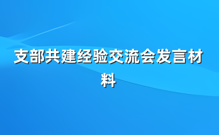 支部共建经验交流会发言材料