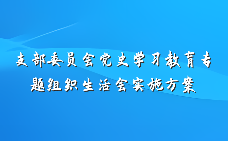 支部委员会党史学习教育专题组织生活会实施方案