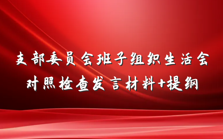 支部委员会班子组织生活会对照检查发言材料 提纲