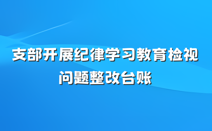 支部开展纪律学习教育检视问题整改台账