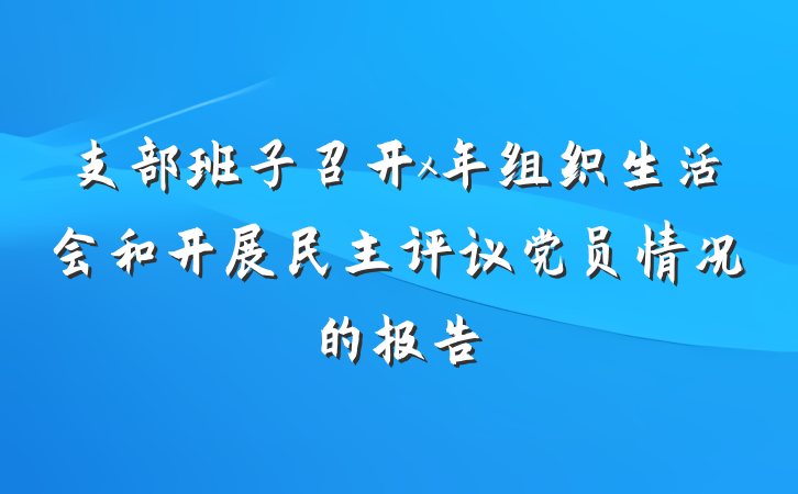 支部班子召开x年组织生活会和开展民主评议党员情况的报告