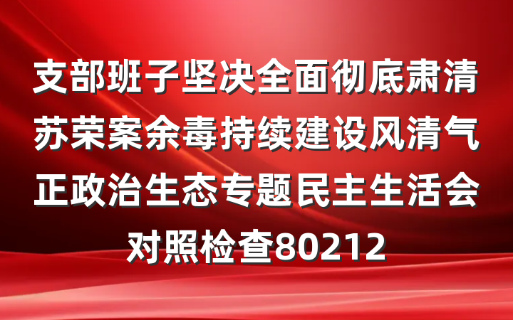 支部班子坚决全面彻底肃清苏荣案余毒持续建设风清气正政治生态专题民主生活会对照检查80212