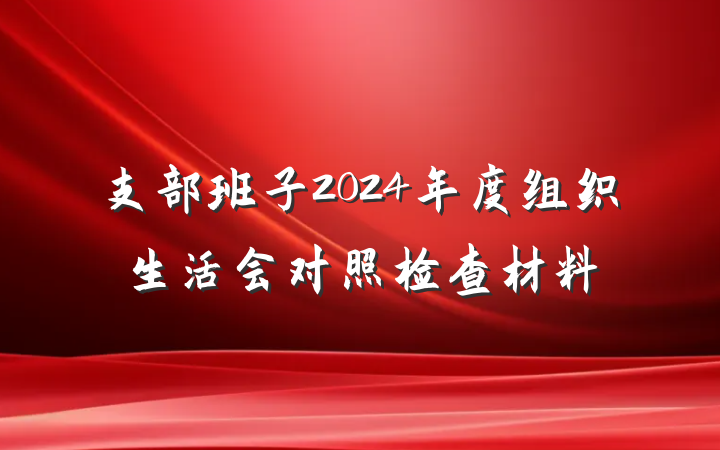 支部班子2024年度组织生活会对照检查材料