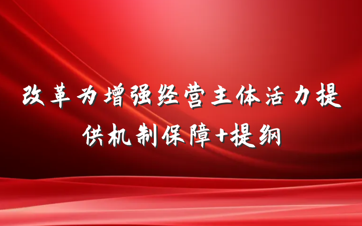改革为增强经营主体活力提供机制保障 提纲