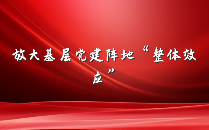 放大基层党建阵地“整体效应”