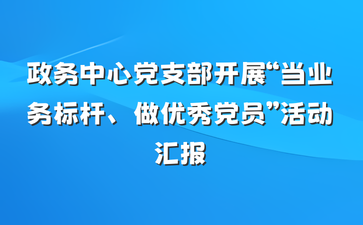 政务中心党支部开展“当业务标杆、做优秀党员”活动汇报