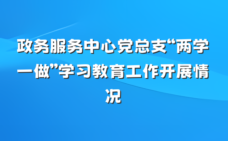 政务服务中心党总支“两学一做”学习教育工作开展情况