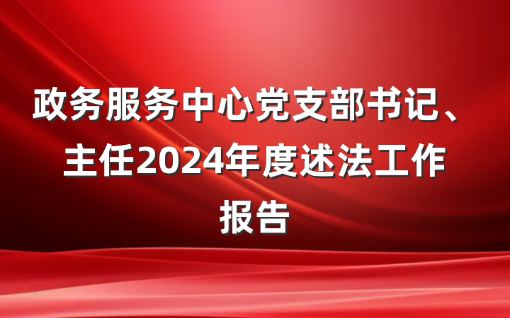 政务服务中心党支部书记、主任2024年度述法工作报告