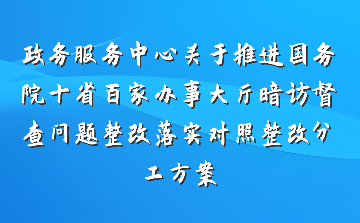 政务服务中心关于推进国务院十省百家办事大厅暗访督查问题整改落实对照整改分工方案