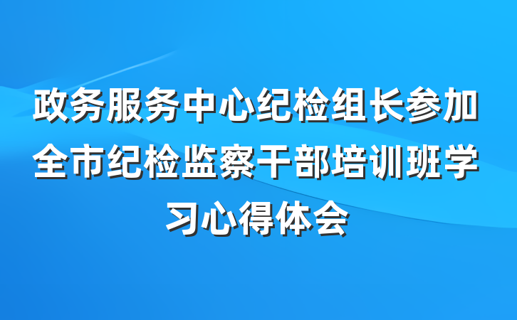 政务服务中心纪检组长参加全市纪检监察干部培训班学习心得体会