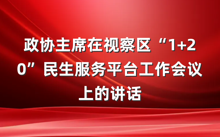 政协主席在视察区“1+20”民生服务平台工作会议上的讲话