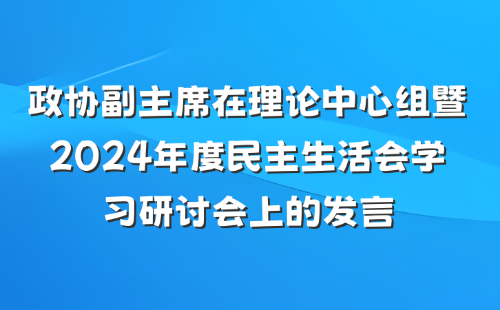政协副主席在理论中心组暨2024年度民主生活会学习研讨会上的发言