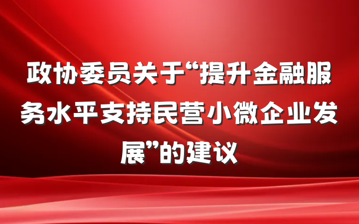 政协委员关于“提升金融服务水平支持民营小微企业发展”的建议