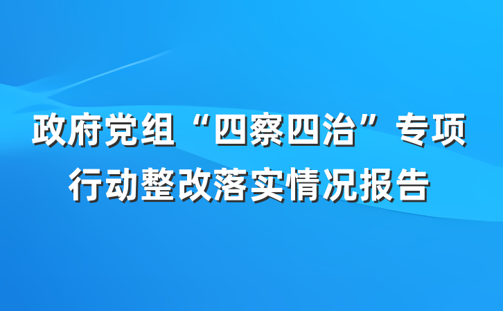 政府党组“四察四治”专项行动整改落实情况报告