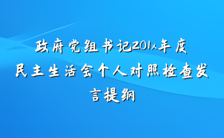 政府党组书记201x年度民主生活会个人对照检查发言提纲