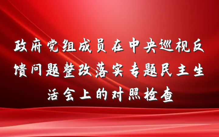 政府党组成员在中央巡视反馈问题整改落实专题民主生活会上的对照检查