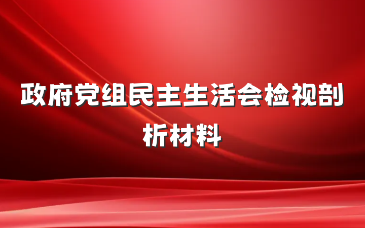 政府党组民主生活会检视剖析材料