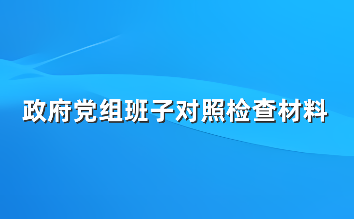 政府党组班子对照检查材料