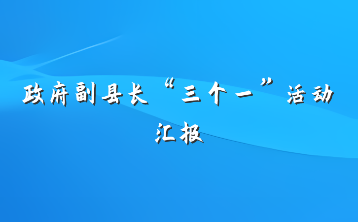 政府副县长“三个一”活动汇报