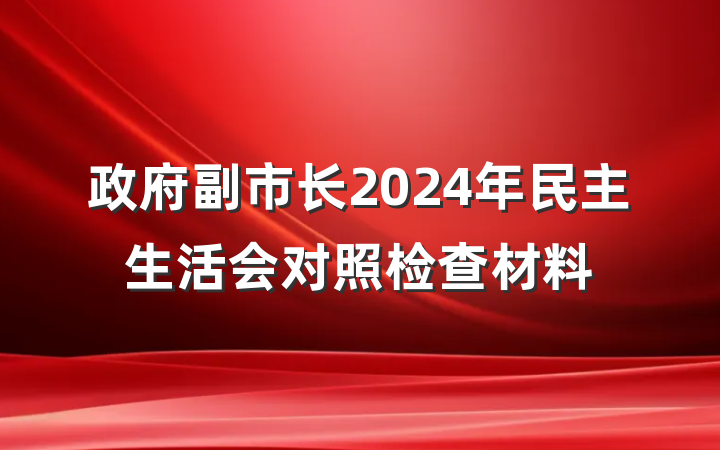 政府副市长2024年民主生活会对照检查材料
