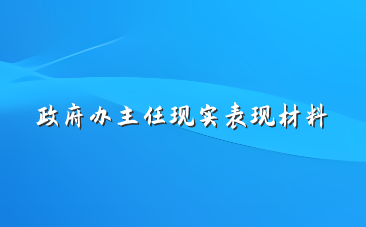政府办主任现实表现材料