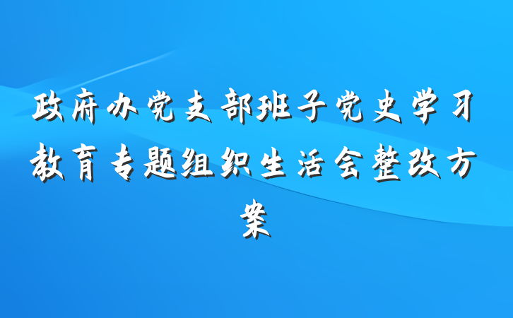 政府办党支部班子党史学习教育专题组织生活会整改方案