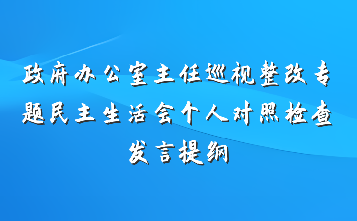 政府办公室主任巡视整改专题民主生活会个人对照检查发言提纲